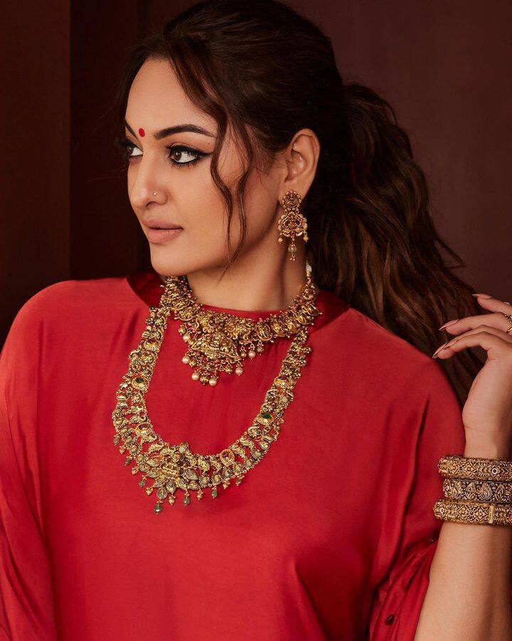 तसेच तिची दहाड ही वेब सीरिज देखील काही महिन्यांपूर्वी प्रेक्षकांच्या भेटीस आली. या वेब सीरिजमधील सोनाक्षीच्या अभिनयाचं अनेकांनी कौतुक केलं.