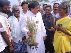 కరువు మండలాలు ప్రకటించడానికి నామోషీ ఎందుకు జగన్ : జనసేన సూటి ప్రశ్న