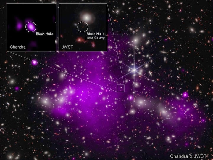 NASA Chandra X ray Webb Discover Most Ancient Supermassive Black Hole Observed In X rays SEE Pic NASA's Chandra X-ray And Webb Discover Most Ancient Supermassive Black Hole Observed In X-rays. SEE Pic