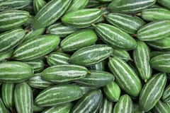 Pointed Gourd: কোলেস্টেরল কমায়, হজমের সমস্যায় উপকারী! রোজ পটল খেলে আর কী উপকার হয় জানেন?