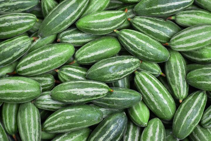 পাচনতন্ত্রের জন্য পটল উপকারী । খিদে ও হজম প্রক্রিয়ার উন্নতিতে সাহায্য করে পটল। পটলের মধ্যে রয়েছে আলসার প্রতিরোধী প্রভাব, যা পাকস্থলীকে আলসার থেকে দূরে রাখতে সাহায্য করে।