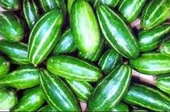 Pointed Gourd: কোলেস্টেরল কমায়, হজমের সমস্যায় উপকারী! রোজ পটল খেলে আর কী উপকার হয় জানেন?