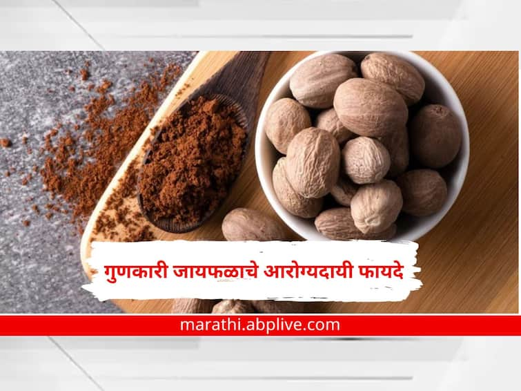 What is nutmeg Jaiphal health benefits for skin hair and health tips Jaiphal benefits Jaiphal fayade marathi Health Tips : सौंदर्यही वाढेल, वजन कमी करण्यासह गरोदर स्रियांसाठीही गुणकारी; जायफळाचे हे फायदे माहित आहेत?