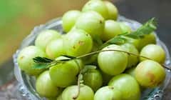 Amla: આમળાના ફાયદા તમે જાણતા જ હશો, હવે જાણો તેના ગેરફાયદા, ક્યારે બની જાય છે સ્વાસ્થ્ય માટે 'ખતરનાક'
