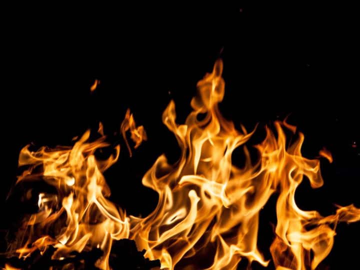 Madhepura Mother Shocked After Death of Her Son Jumped on The Funeral Yyre Madhepura News: बेटे की मौत बर्दाश्त नहीं कर सकी मां, सदमा लगा तो चिता पर जाकर कूदी, मधेपुरा की घटना