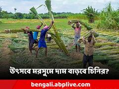 Sugar Price Hike: উৎসবের মরসুম চিনি কিনতে কি পকেট ফাঁকা হবে? দাম কি আরও বাড়বে?