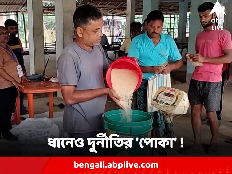 Ration Distribution Scam ED Claimed Scam in Paddy Buying with help of co operatives know in details Ration Distribution Scam : ধানেও দুর্নীতির 'পোকা' ! সমবায় সমিতির যোগসাজশেই কৃষকদের ঠকিয়ে চলত রেশন বণ্টন দুর্নীতি