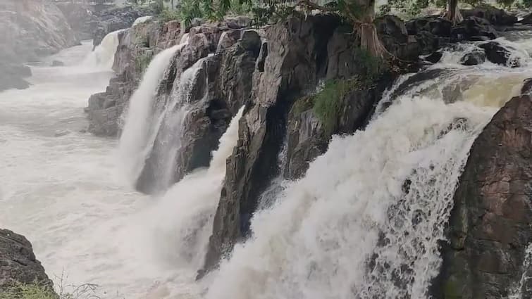 Dharmapuri news flow of water in Hogenakkal Falls District administration bans Parisal TNN ஒகேனக்கல் அருவிகளில் ஆர்ப்பரித்துக் கொட்டும் நீர் - பரிசல் இயக்க மாவட்ட நிர்வாகம் தடை
