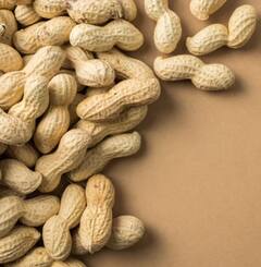 Health News: ਜਿਨ੍ਹਾਂ ਲੋਕਾਂ ਦੇ ਸਰੀਰ 'ਚ ਇਹ ਸਮੱਸਿਆ...ਉਨ੍ਹਾਂ ਨੂੰ ਗਲਤੀ ਨਾਲ ਵੀ ਨਹੀਂ ਖਾਣੀ ਚਾਹੀਦੀ ਮੂੰਗਫਲੀ