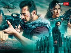 Tiger 3 से पहले Diwali पर रिलीज हो चुकी हैं Salman Khan की ये 5 फिल्में, दो ने मारी बाजी तो तीन हो गईं फ्लॉप