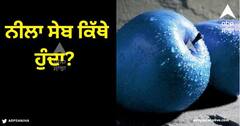 Blue Apple: ਨੀਲਾ ਸੇਬ ਕਿੱਥੇ ਹੁੰਦਾ? ਕੀ ਅਸਲ ਵਿੱਚ ਹੁੰਦੀ ਇਸ ਕਾਸ਼ਤ, ਜਾਂ ਮਾਮਲਾ ਕੁਝ ਹੋਰ?