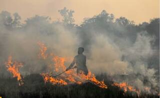 Stubble Burning: ਸਰਕਾਰ ਨੇ ਪਰਾਲੀ ਸਾੜਨ ਵਾਲਿਆਂ 'ਤੇ ਕੀਤੀ ਸਖ਼ਤੀ, 32 ਲੱਖ ਰੁਪਏ ਦਾ ਠੋਕਿਆ ਜੁਰਮਾਨਾ, 1256 ਚਲਾਨ