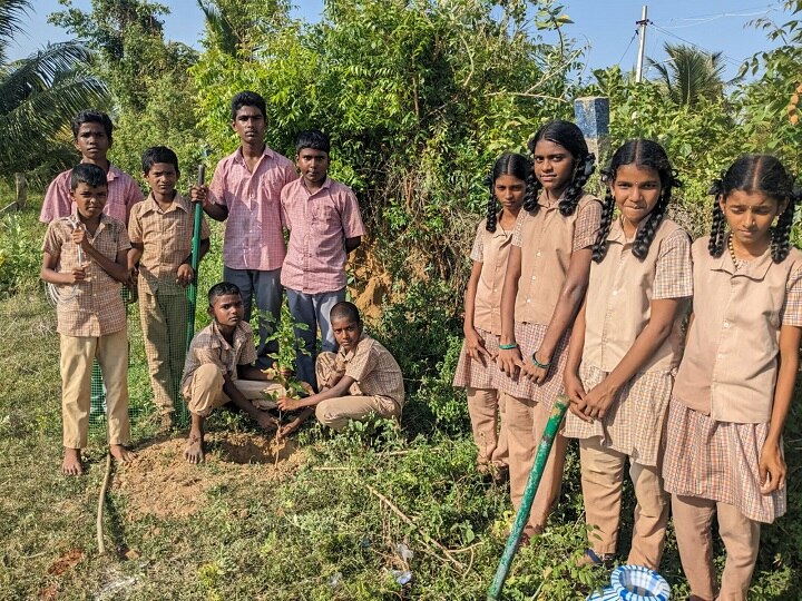 தங்கள் பள்ளியை மிளிரும் பள்ளியாக மாற்றி வரும் திருமங்கலக்கோட்டை கீழையூர் அரசு மேல்நிலைப்பள்ளி தேசியப்படை மாணவர்கள் 