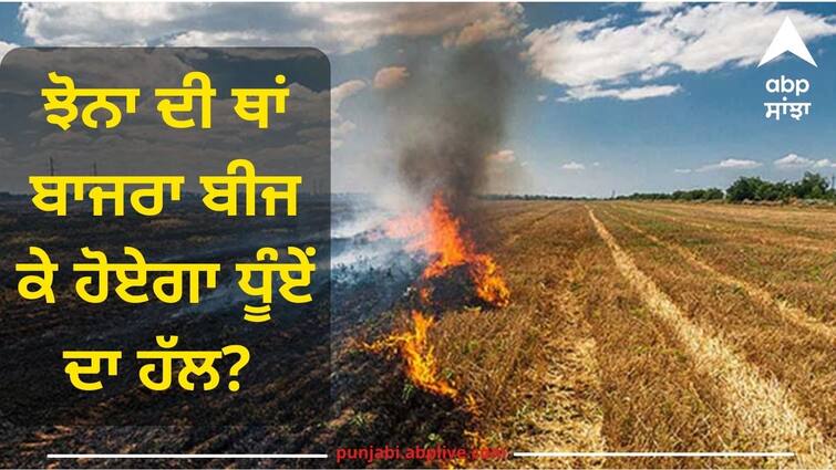 Sunil Jakhar says don't cause more trouble for the farmers who are already in trouble Punjab News: ਝੋਨਾ ਦੀ ਥਾਂ ਬਾਜਰਾ ਬੀਜ ਕੇ ਹੋਏਗਾ ਧੂੰਏਂ ਦਾ ਹੱਲ? ਜਾਖੜ ਬੋਲੇ...ਪਹਿਲਾਂ ਤੋਂ ਹੀ ਮੁਸੀਬਤ 'ਚ ਫਸੇ ਕਿਸਾਨਾਂ ਲਈ ਹੋਰ ਮੁਸੀਬਤ ਨਾ ਸਹੇੜੋ....