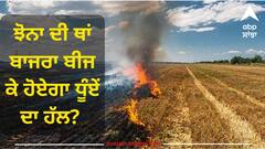 Punjab News: ਝੋਨਾ ਦੀ ਥਾਂ ਬਾਜਰਾ ਬੀਜ ਕੇ ਹੋਏਗਾ ਧੂੰਏਂ ਦਾ ਹੱਲ? ਜਾਖੜ ਬੋਲੇ...ਪਹਿਲਾਂ ਤੋਂ ਹੀ ਮੁਸੀਬਤ 'ਚ ਫਸੇ ਕਿਸਾਨਾਂ ਲਈ ਹੋਰ ਮੁਸੀਬਤ ਨਾ ਸਹੇੜੋ....