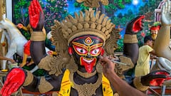 Kali Puja 2023 কীভাবে সাজাবেন মা কালীর নৈবেদ্য, মদ কি দিতেই হয় ? কালীপুজোর খুঁটিনাটি