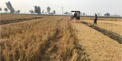 Punjab News: ਪਿਛਲੇ ਸਾਲ ਦੌਰਾਨ ਪਰਾਲੀ ਨੂੰ ਅੱਗ ਲਗਾਉਣ ਦੇ 70 ਪ੍ਰਤੀਸ਼ਤ ਮਾਮਲਿਆਂ ਦੇ ਮੁਕਾਬਲੇ ਇਸ ਸਾਲ ਮਾਮਲੇ ਘਟ ਕੇ 47 ਫੀਸਦੀ ਰਹੇ