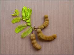 వంటకాలకు చింతచిగురు జతచేరిస్తే ఆ రుచే వేరు