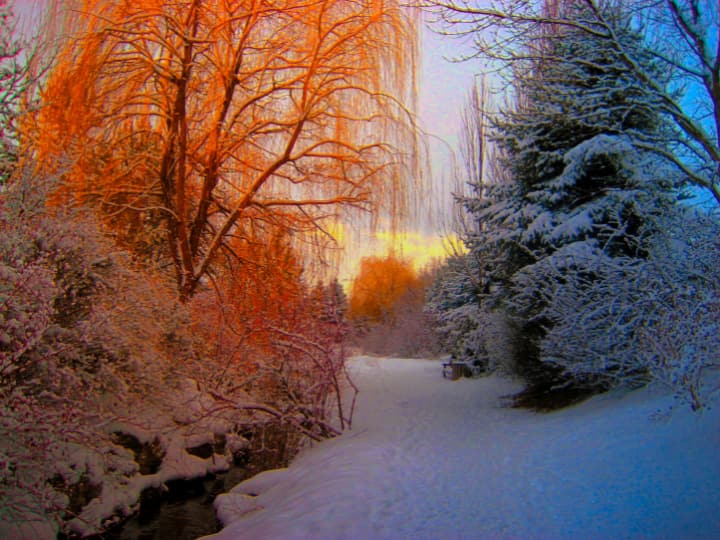 ठंडी, गर्मी और बरसात ही नहीं… इस देश में होते हैं टोटल 72 मौसम winter summer spring fall there are total 72 seasons in this country name is japan know it ठंडी, गर्मी और बरसात ही नहीं… इस देश में होते हैं टोटल 72 मौसम