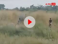 पहले जंगल में जाकर हाथी को किया परेशान, फिर पूंछ खींचकर उकसाया, ओडिशा में शख्स की शर्मनाक हरकत