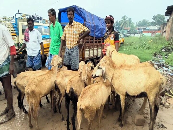 தீபாவளியை முன்னிட்டு அய்யலூர் ஆட்டுச் சந்தையில் 3 கோடி ரூபாய்க்கு ஆடுகள் விற்பனை