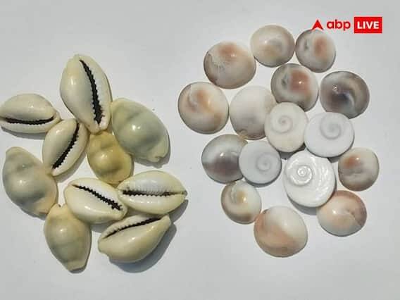 કોડીઃ કોડીને દેવી લક્ષ્મીનું પ્રતિક માનવામાં આવે છે. દિવાળીના દિવસે માતા લક્ષ્મીની પૂજા કરો અને પીળી ગાય ચઢાવો. આ પછી આ કોજી લોકરમાં રાખો. આ સાથે લોકર ક્યારેય ખાલી નહીં રહે.