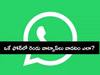 Whatsapp Tips: ఒకే ఫోన్‌లో రెండు వాట్సాప్‌లో వాడటం ఎలా? - ఎలాంటి థర్డ్ పార్టీ యాప్స్ లేకుండా!