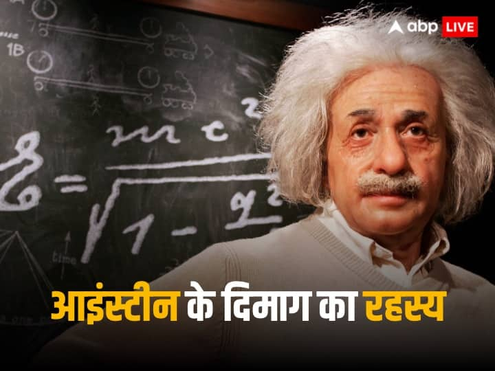 Albert Einstein The most intelligent mind of mankind was broken into 240 pieces got novel price in 2022 Know about greatest scientist life history Albert Einstein: क्यों अल्बर्ट आइंस्टीन की मौत के बाद उनके दिमाग के 240 टुकड़े किए गए