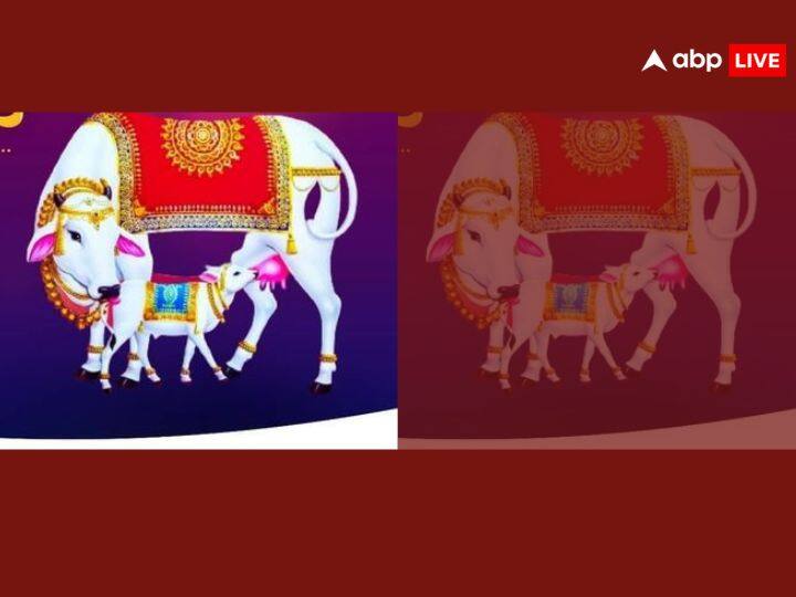 वसु बरस को भारत के कुछ हिस्सों में गुरु द्वादशी या गोवत्स द्वादशी के नाम से भी जाना जाता है. परिवार के अच्छे स्वास्थ्य और धन के लिए, विवाहित महिलाएं इस दिन श्रीकृष्ण पूजा के साथ-साथ गौ पूजन भी करती हैं.