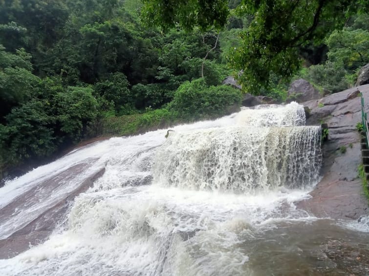 Covai kutralam temporarily closed due to inundation of waterfalls due to incessant rains TNN தொடர் மழையால் அருவிகளில் வெள்ளப்பெருக்கு ; கோவை குற்றாலம் தற்காலிகமாக மூடல்