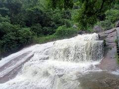 தொடர் மழையால் அருவிகளில் வெள்ளப்பெருக்கு ; கோவை குற்றாலம் தற்காலிகமாக மூடல்
