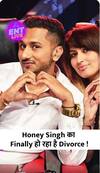 Yo Yo Honey Singh का Wife Shalini Talwar से हुआ Divorce | ENT LIVE
