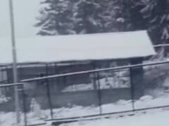 Kashmir Snowfall: कश्‍मीर घाटी में बदला मौसम, बर्फ की सफेद चादर में ढके ऊंचाई वाले इलाके, देखें तस्वीरें