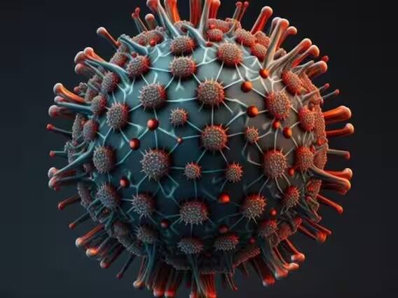 JN. 1 प्रकाराची लक्षणं जुन्या व्हेरियंट्ससारखीच आहेत. थंडी वाजणं, ताप येणं, छातीत दुखणं, श्वास घेण्यास त्रास होणं, घसा खवखवणं आणि घशात वेदना होणं.