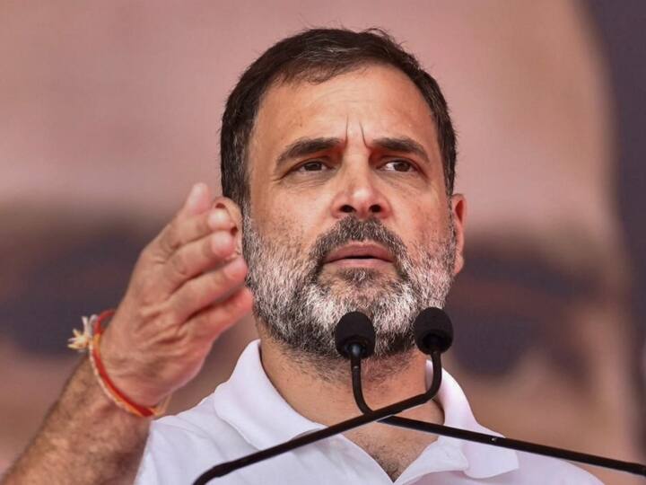MP Election 2023 Rahul Gandhi Satna Rally Caste census revolutionary step MP Election 2023: राहुल गांधी का पीएम पर न‍िशाना, 'नरेंद्र मोदी पहले कहते थे मैं OBC हूं, लेकिन अब...'