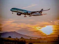 चावल-रोटी नहीं पूरा हवाई जहाज निगल गया था यह व्यक्ति, इसे खाते हुए देखने के लिए लेनी पड़ती थी टिकट