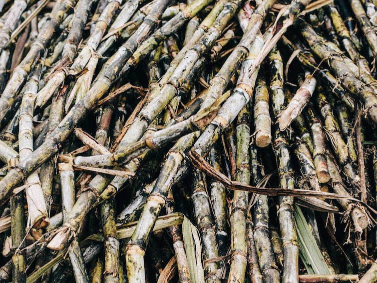 Co-operative public sugar plant maintenance money capital amount tamil கூட்டுறவு, பொதுத்துறை சர்க்கரை ஆலைகள் பராமரிப்பு பணி: ரூ.63.61 கோடி முன்பணக் கடன் வழங்கிய தமிழ்நாடு அரசு!