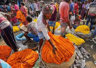 In Ahmedabads flower market the price has increased by more than 20 per kg અમદાવાદના ફુલ બજારમાં રોનક: ફુલોની મહેક થઈ મોંઘી, ભાવમાં કિલોએ 20થી વધુનો વધારો