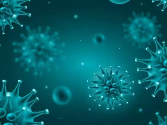 JN.1 हा कोरोनाचा नवा व्हेरियंट आहे. सध्या जगभरातील अनेक रुग्णांना कोरोना व्हायरसची लागण झाल्याचं समोर आलं आहे.