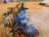 Stubble Burning: हरियाणा-पंजाब में पराली जलाने वालों की अब खैर नहीं, केंद्र की तरफ से भेजे जाएंगे उड़नदस्ते, रखेंगे पैनी नजर