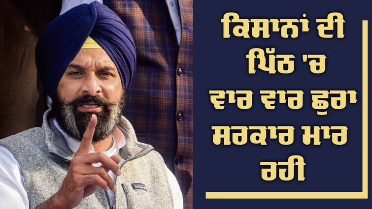 Demand for stopping MSP on Paddy biggest betrayal of Bhagwant Mann led AAP government with Punjab farmers: SAD MSP on Paddy: ਕਿਸਾਨਾਂ ਦੀ ਪਿੱਠ 'ਚ ਵਾਰ ਵਾਰ ਸਰਕਾਰ ਮਾਰ ਰਹੀ ਛੁਰਾ, ਹੁਣ ਝੋਨੇ 'ਤੇ MSP ਬੰਦ ਕਰਨ ਦੀ ਤਿਆਰੀ : ਮਜੀਠੀਆ 