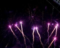 MNS Deepostav : मनसेच्या दीपोत्सवात अभिनेता विक्की कौशलची हजेरी, राज ठाकरेंकडून कौतुक; पाहा फोटो