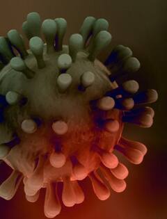 Diwali 2023: ਦੀਵਾਲੀ ਤੋਂ ਪਹਿਲਾਂ ਕੋਰੋਨਾ ਦੇ ਨਵੇਂ JN.1 ਵੇਰੀਐਂਟ ਦਾ ਖੌਫ, ਕੁੱਝ ਇਸ ਤਰ੍ਹਾਂ ਨੇ ਇਸ ਦੇ ਲੱਛਣ