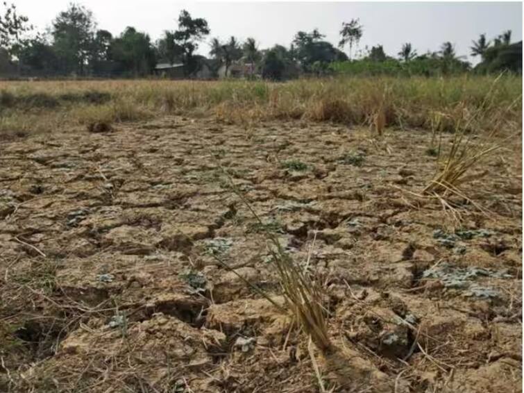 Moderate drought has been declared in 20 mandals in five talukas of Kolhapur district Kolhapur District Moderate Drought : पाणीदार कोल्हापूर जिल्ह्यातील पाच तालुक्यांमधील 20 मंडलांमध्ये मध्यम दुष्काळ जाहीर