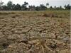 Kolhapur District Moderate Drought : पाणीदार कोल्हापूर जिल्ह्यातील पाच तालुक्यांमधील 20 मंडलांमध्ये मध्यम दुष्काळ जाहीर
