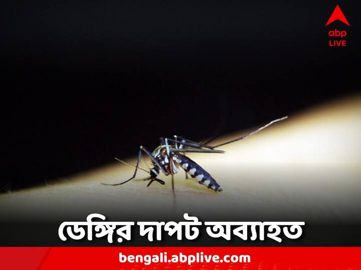 Dengue statistics are increasing concern, the number of infected in the state is about 88 thousand Dengue Case: ডেঙ্গি পরিসংখ্যানে বাড়ছে উদ্বেগ, রাজ্যে আক্রান্তের সংখ্যা প্রায় ৮৮ হাজার