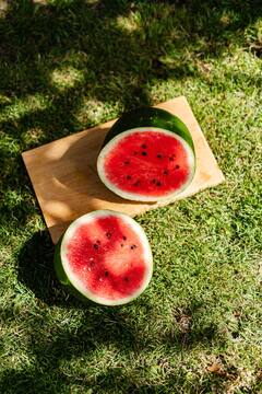 Watermelon Seeds: தர்பூசணி விதைகளில் இவ்வளவு நன்மைகளா?