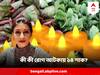 Kalipuja Bhoot Chaturdashi : ১৪ শাকের প্রতিটিই গুণের আকর ! কী কী রোগ প্রতিরোধ হয় এতে, জানালেন পুষ্টিবিদ