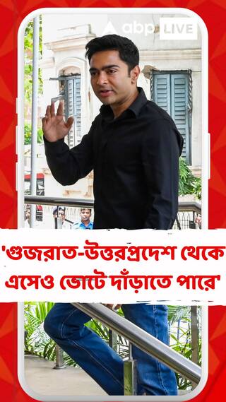 ২৪-এ ডায়মন্ড হারবারে নৌশাদের ভোটে লড়াইয়ের জল্পনার মধ্যেই মুখ খুললেন অভিষেক