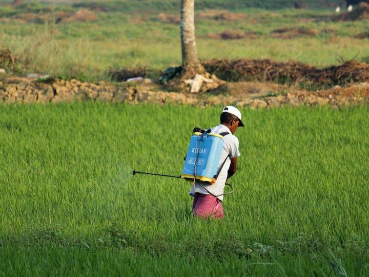 PM Kisan Samman Nidhi do this work soon otherwise you did not receive 15th Installment PM Kisan Yojana: अगर अभी तक नहीं किया है ये काम तो अटक सकती है पीएम किसान निधि की 15वीं किस्त